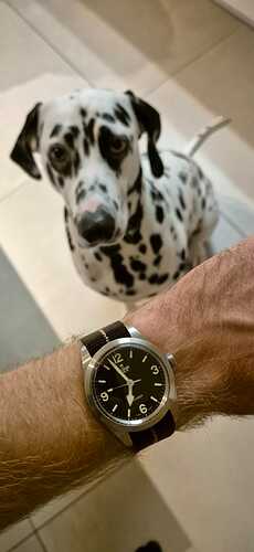 Tudor_3