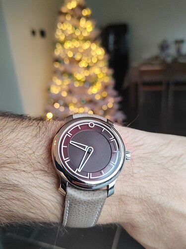 17350292143962210341010708610606
