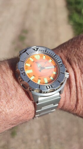 IMG_20240401_111613