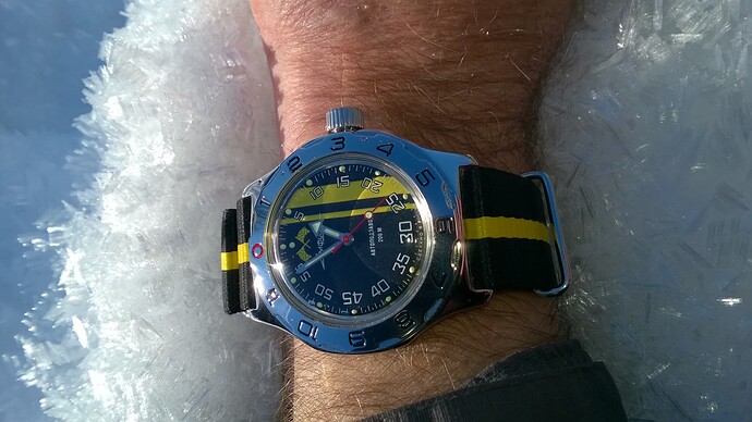 WP_20170121_12_56_05_Pro