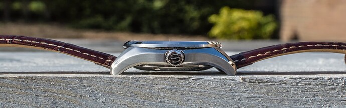 Seiko SARY055 - Case