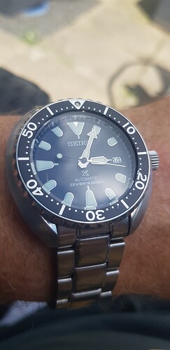 17209622729118309637431855726790