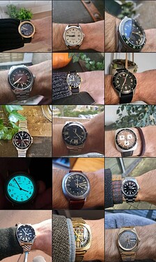 Screenshot_20240618_215156_WatchCrunch