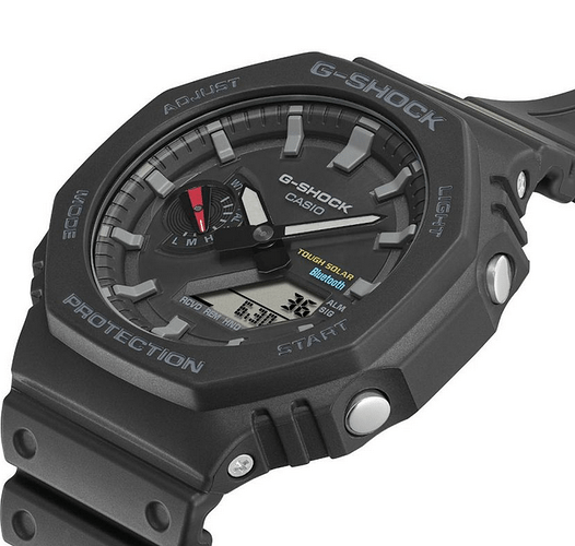 CASIO