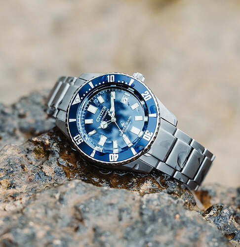 Citizen_Fujitsubo_NB6021_68L_09_crop