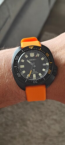 IMG20240822103406