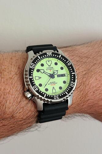 citizen-promaster-diver-full-lume-v0-c73ekrjqjnic1