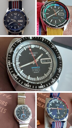 20241012_134901-COLLAGE