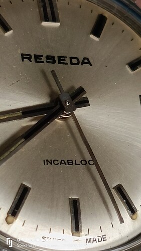 IMG20240718083926