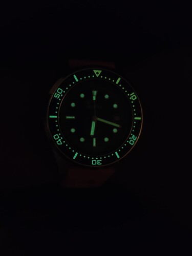17379117561339134119811401560894