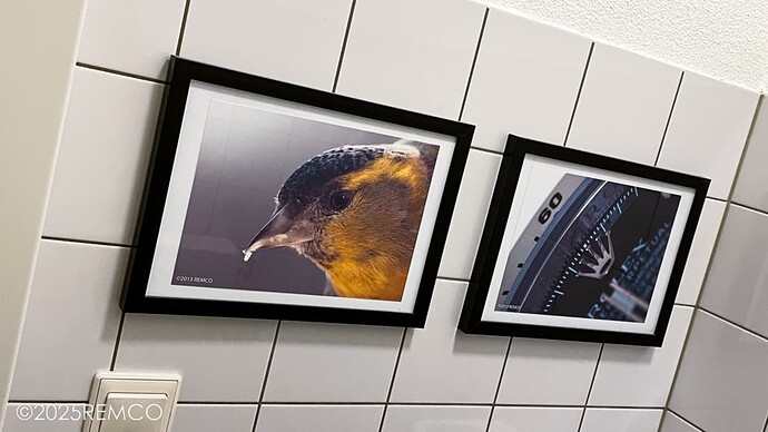 20250118-IMG_6091
