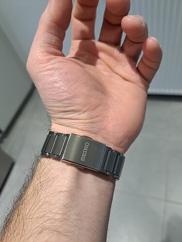 17057384529661584100521651211262