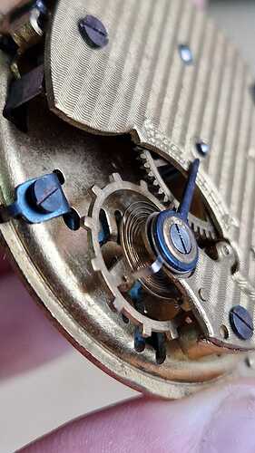 IMG-20240916-WA0009