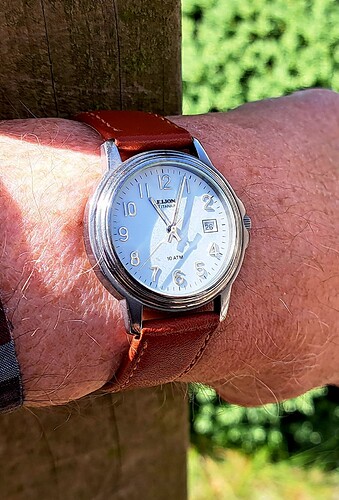 Leijona quartz titanium(1) 26-05-2023