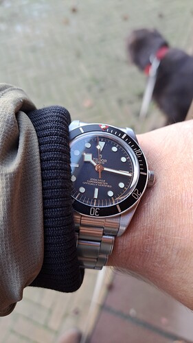 IMG-20241111-WA0005