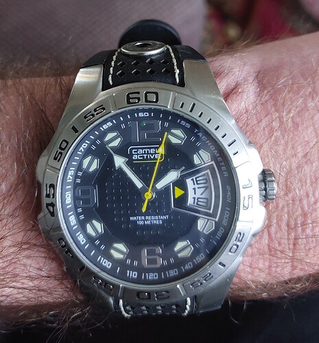 Camel active