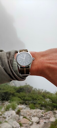 IMG20240428100256