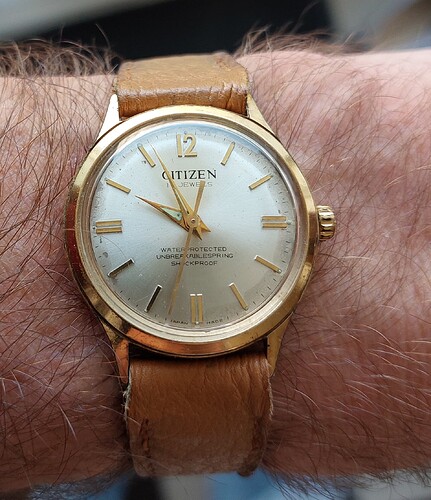 210 Citizen 2