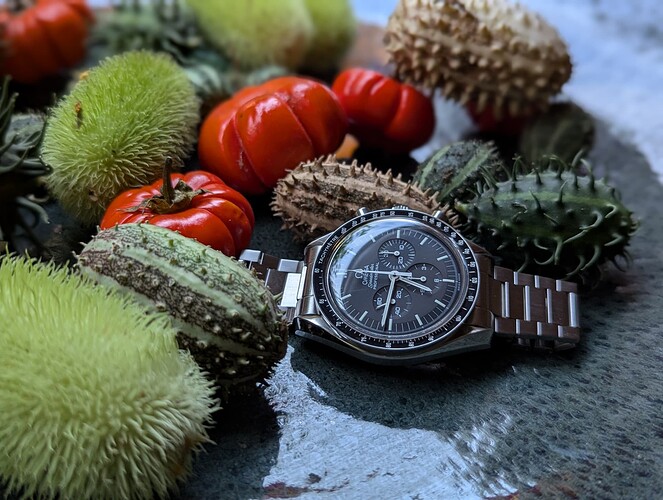 HerfstSpeedy