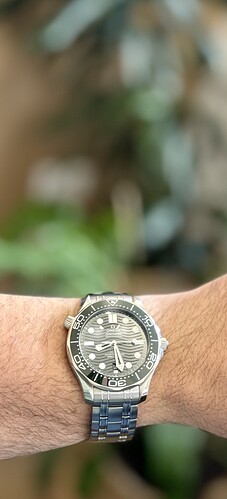 IMG_7860