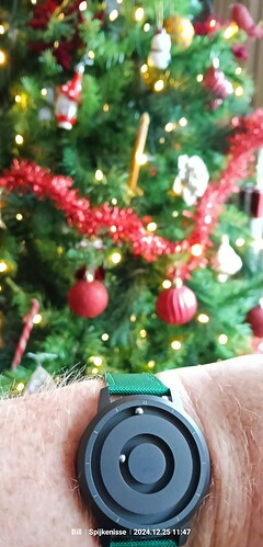 IMG_20241225_114740