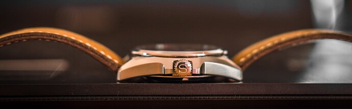 Seiko zijkant en kroon