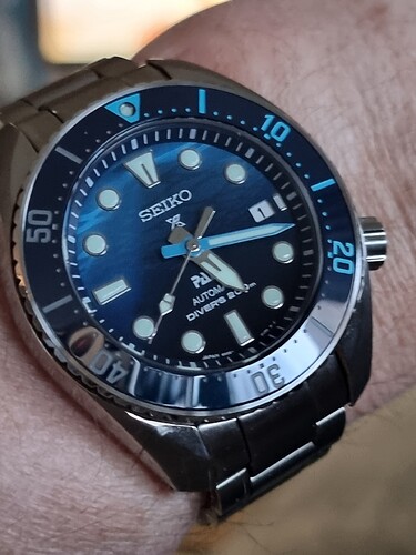 17068041833473074020807268044331