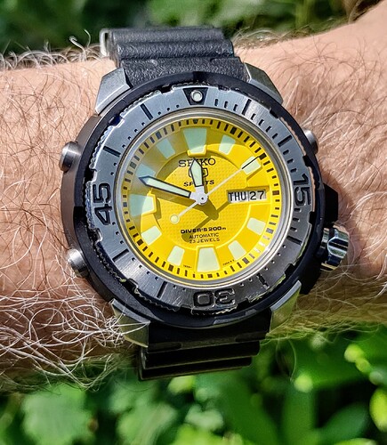 IMG_20240627_115658622_HDR~2