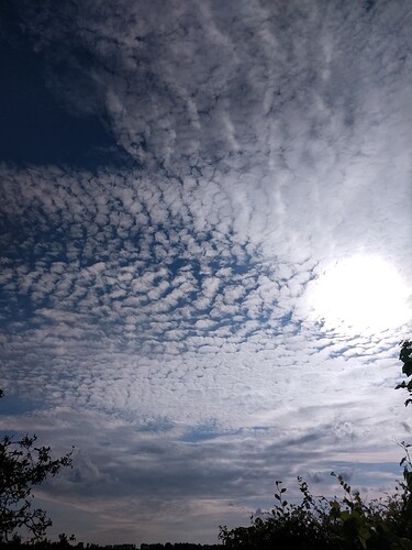 IMG_20240701_184403648_HDR