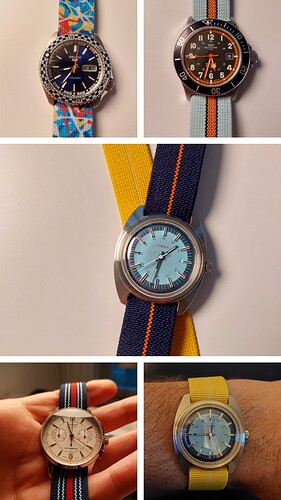 20240820_210637-COLLAGE