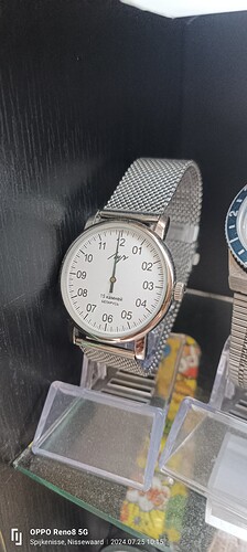 17218953356624665344493423102299