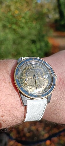 IMG_20241102_133059