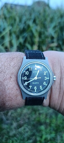 IMG_20240929_124044