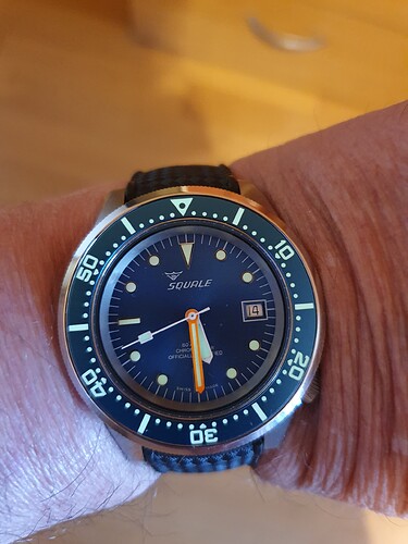 Squale cosc 14e