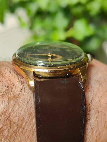 IMG20240713092343