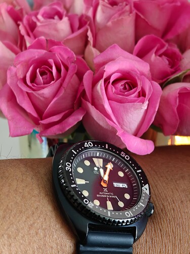 IMG20240420120053