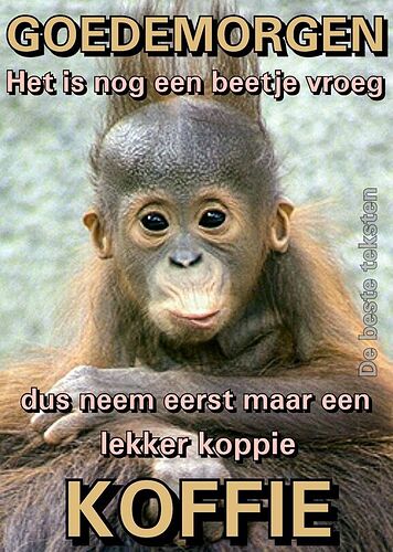 Goede Morgen