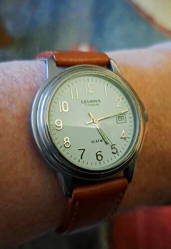 Leijona quartz titanium(1a) 05-02-2024