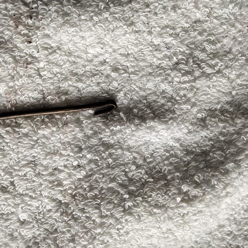 IMG20240223115055