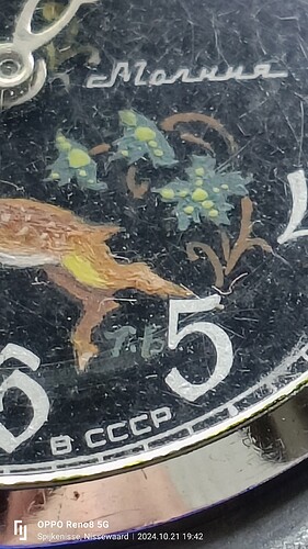 IMG20241021194223