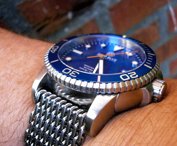Deep_Blue_Master_Diver_1000-2 mesh band