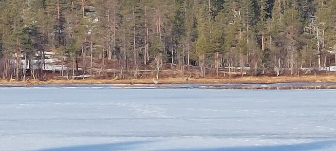 20240501_065356