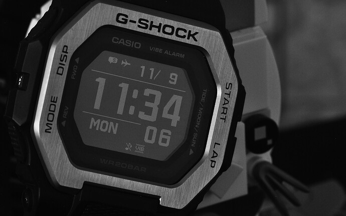 DSC_2301B&W