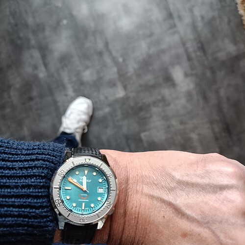 IMG20241221114926