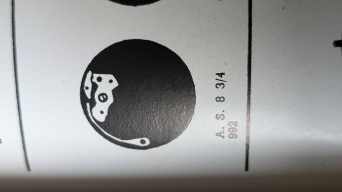 PXL_20241107_090817610.MP