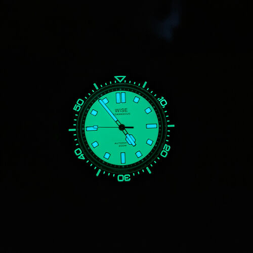 IMG20240427045344_1