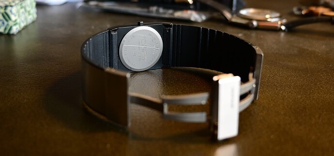 JacobJensenNewDimensions_caseback_crop