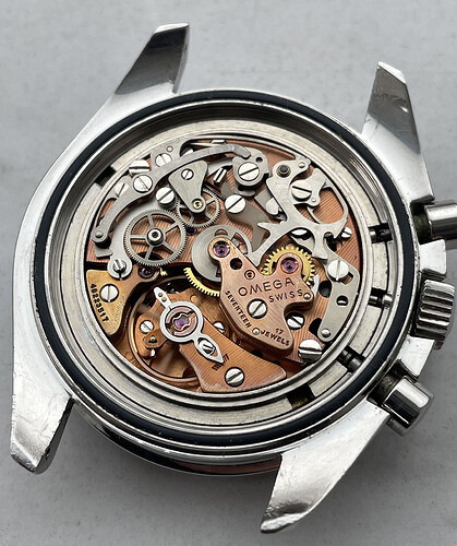Speedymoon 3450809 11