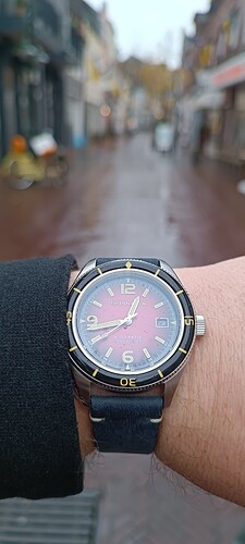IMG_20241029_124241