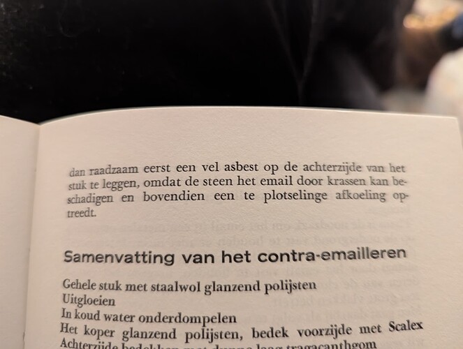 PXL_20241224_165132861